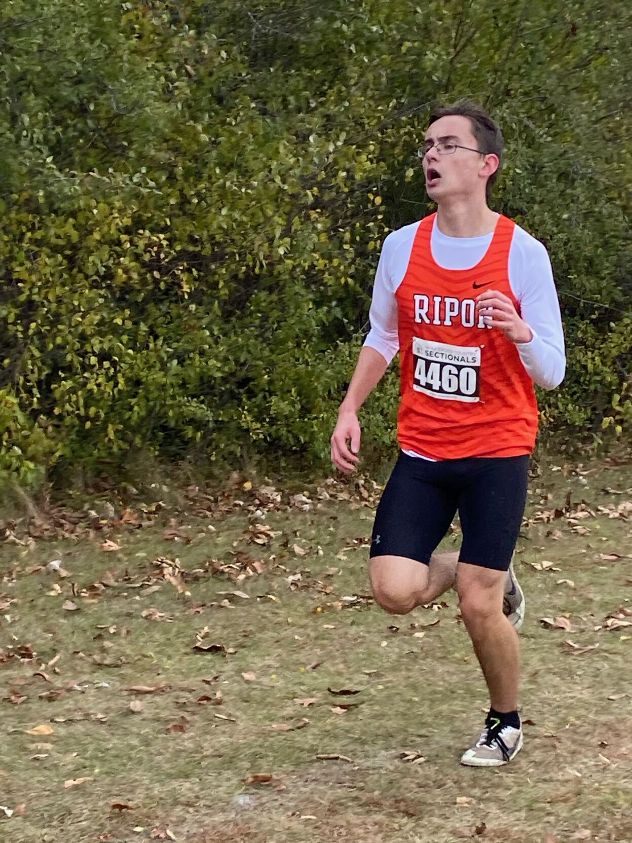 J.P. Stanfield sectional cross country meet